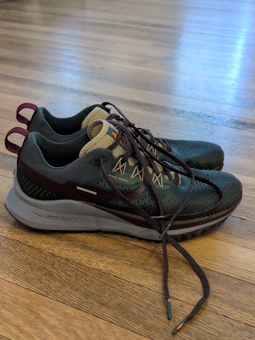 Nike Pegasus Trail Runners Size 9
